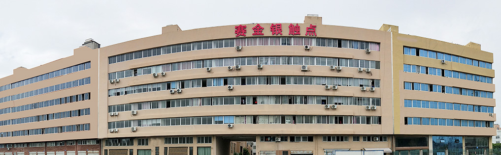 賽金銀觸點(diǎn)建筑